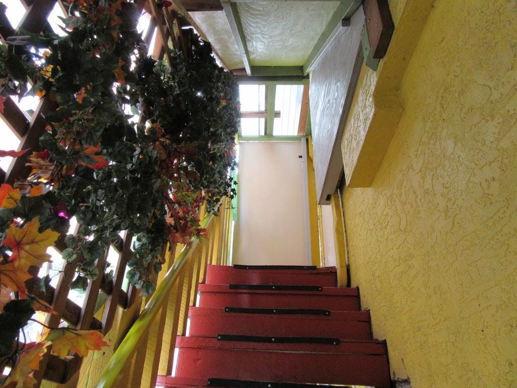 Turtle Hostel Victoria Dış mekan fotoğraf
