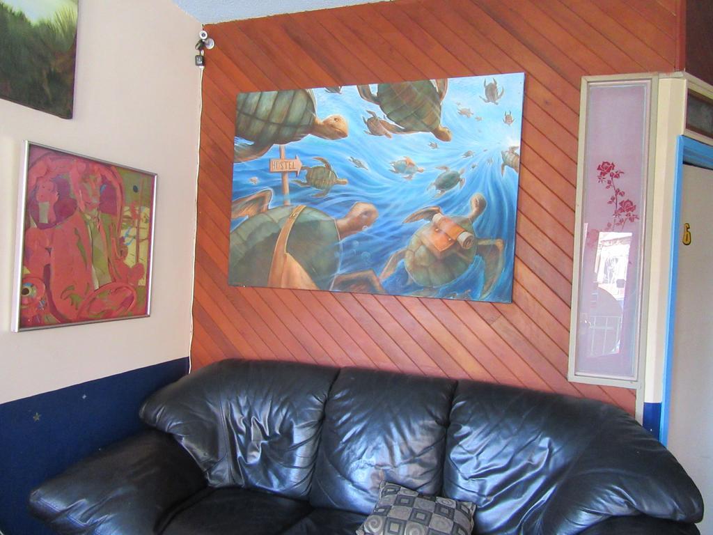 Turtle Hostel Victoria Dış mekan fotoğraf